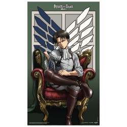 Attack On Titan Levi Fabric Poster (70cm x 120cm)